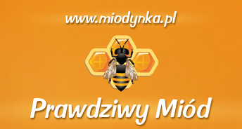 miodynka.pl - prawdziwy miód